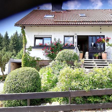 Ferienwohnung Anemone Mit Bergblick Braunlage Exterior photo