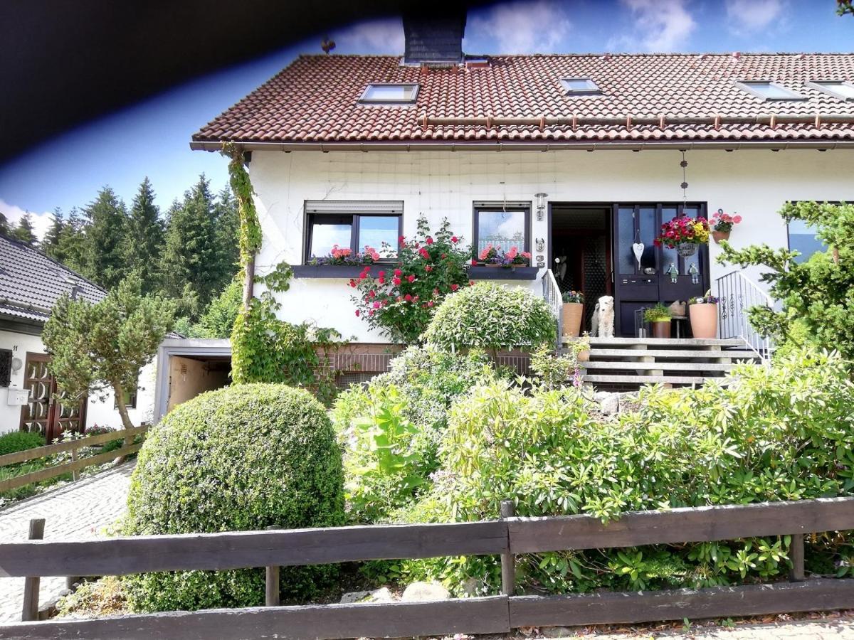 Ferienwohnung Anemone Mit Bergblick Braunlage Exterior photo